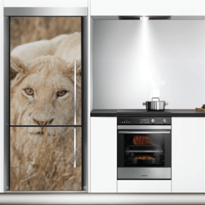 # Αυτοκόλλητο ψυγείου με λιοντάρι - Sticker Box