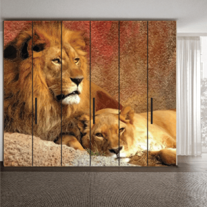 # Αυτοκόλλητο ντουλάπας με λιοντάρια - Sticker Box