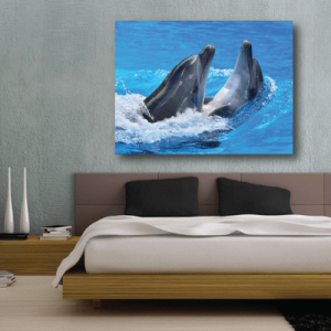 #30 Πίνακας με δελφίνια - Sticker Box