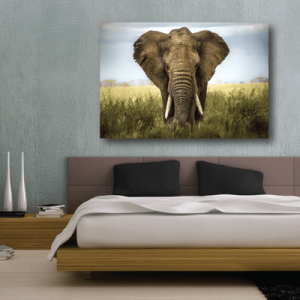 #30 Πίνακας με ελέφαντα - Sticker Box