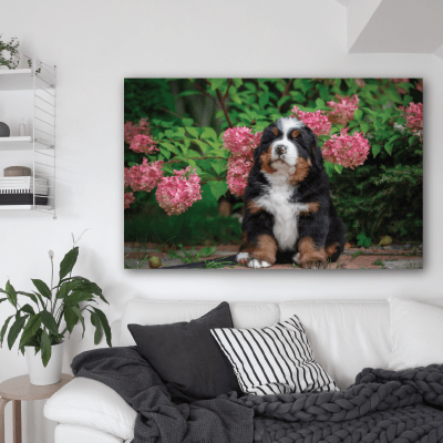#33 Πίνακας με σκυλάκι στα λουλούδια - Sticker Box
